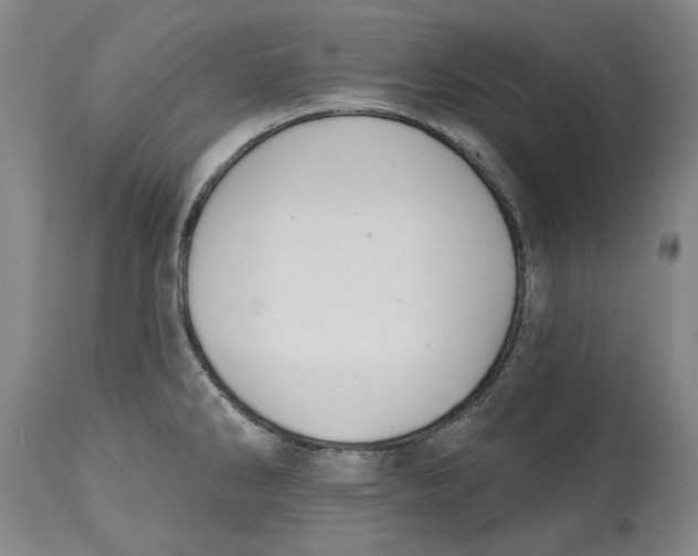 X0000114571286200911161238