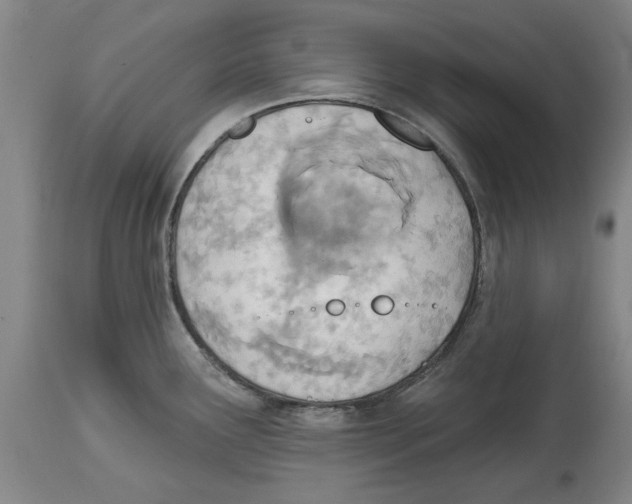 X0000114571291200911161238