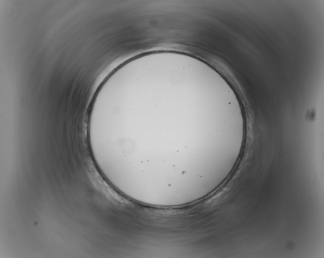 X0000114571292200911161238