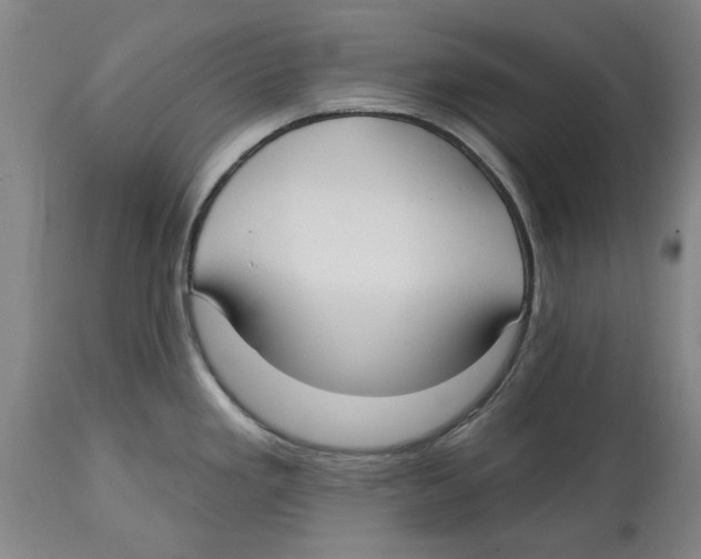 X0000114571293200911161238