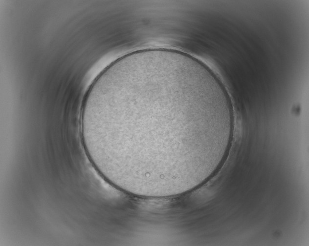 X0000114571294200911161238