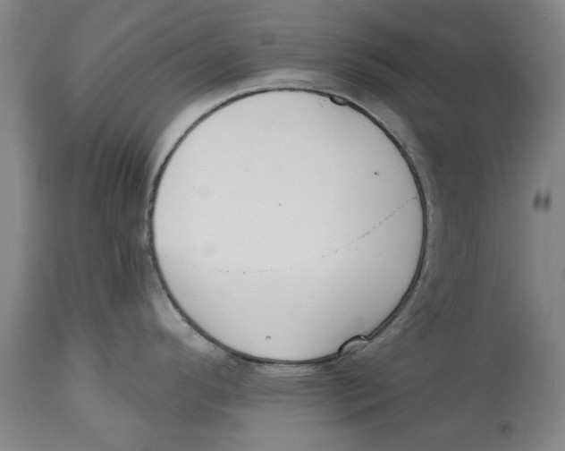 X0000114571296200911161238