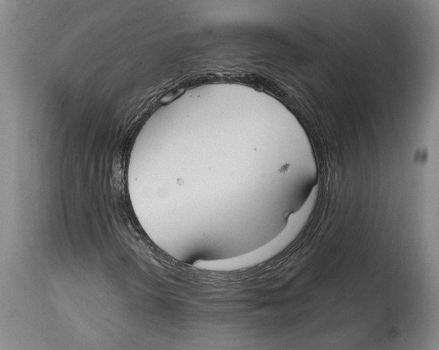 X0000114571298200911161237