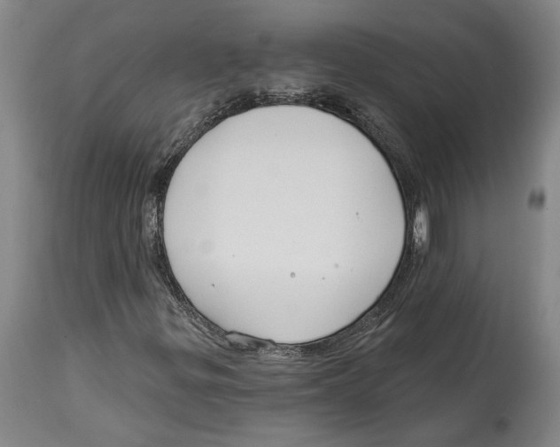 X0000114571299200911161237