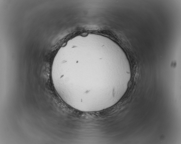 X0000114571301200911161237