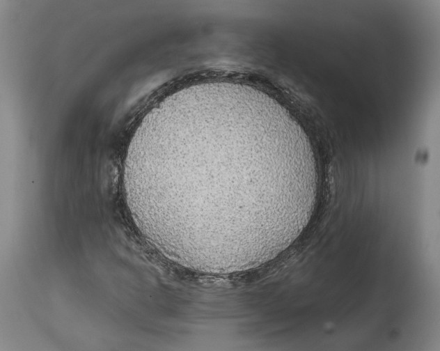 X0000114571302200911161237