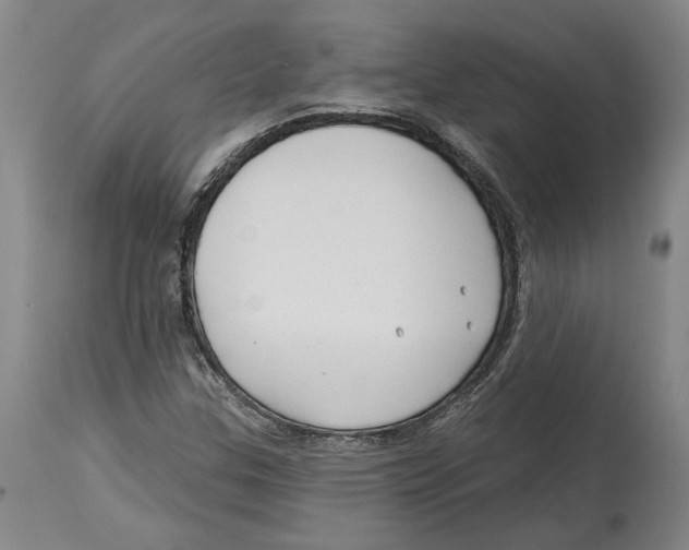 X0000114571307200911161237