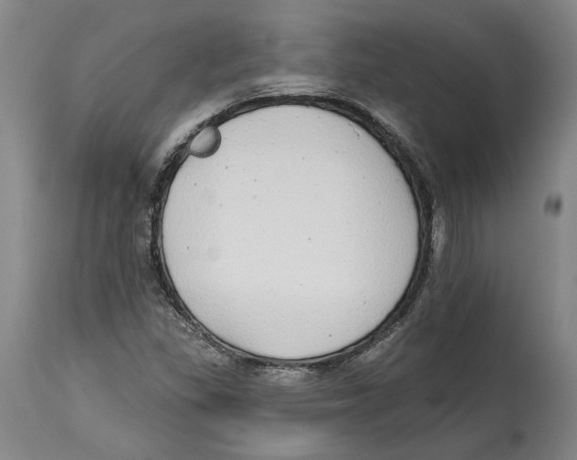 X0000114571309200911161237