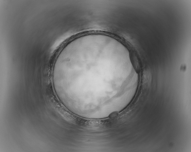 X0000114571310200911161237