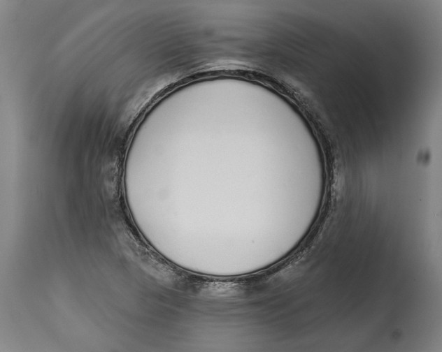 X0000114571313200911161237