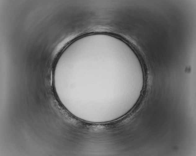 X0000114571317200911161237