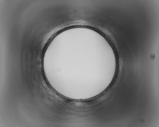 X0000114571318200911161237