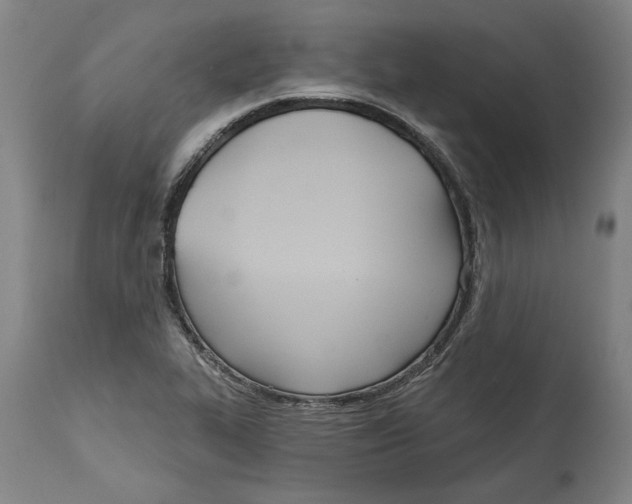 X0000114571319200911161237