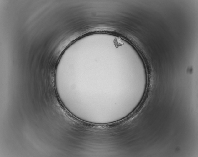 X0000114571321200911161237