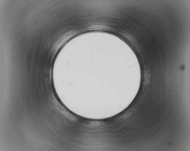 X0000114571322200911161237