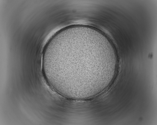 X0000114571323200911161237