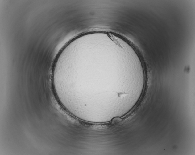 X0000114571325200911161237