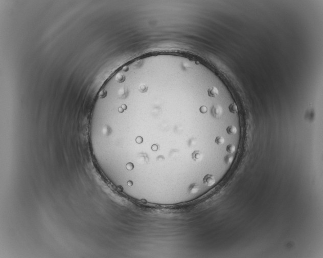 X0000114571329200911161237