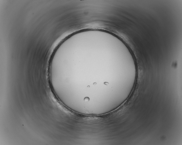 X0000114571331200911161237