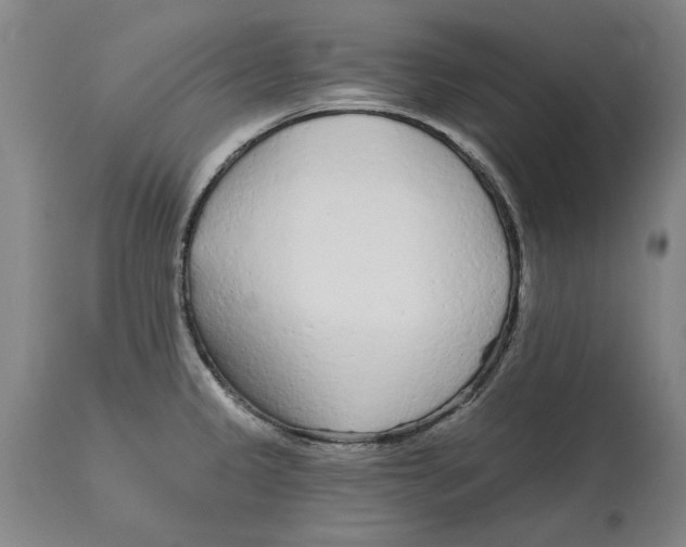 X0000114571333200911161237