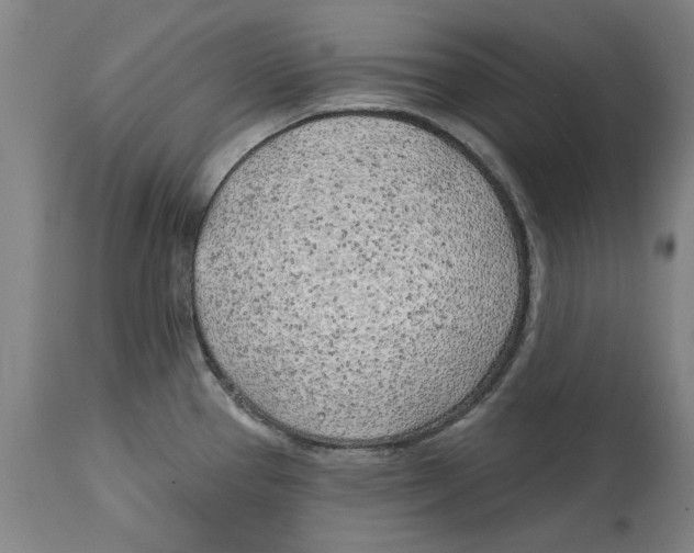 X0000114571337200911161237