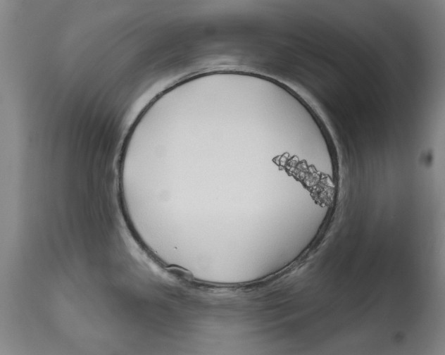 X0000114571341200911161238