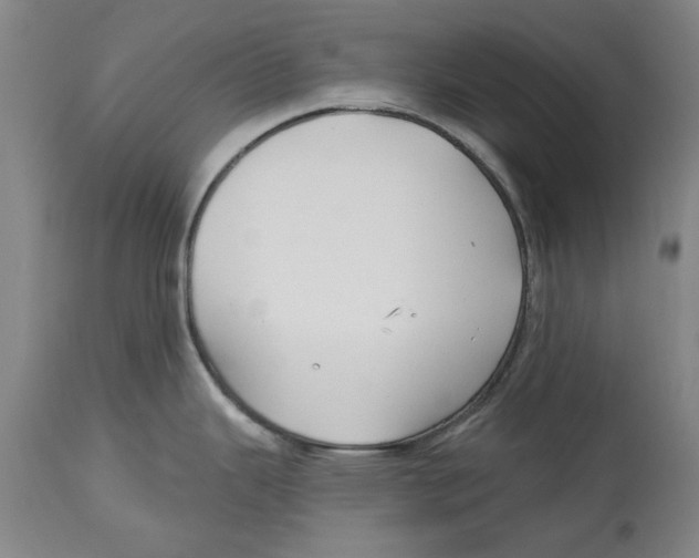 X0000114571343200911161238