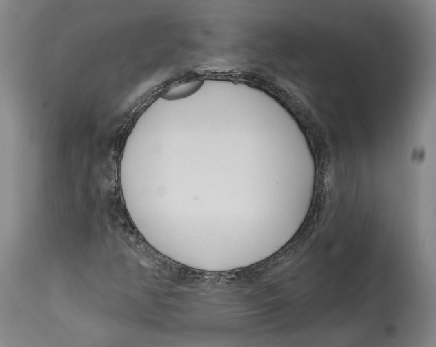 X0000114571350200911161237