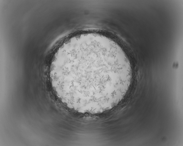 X0000114571351200911161237