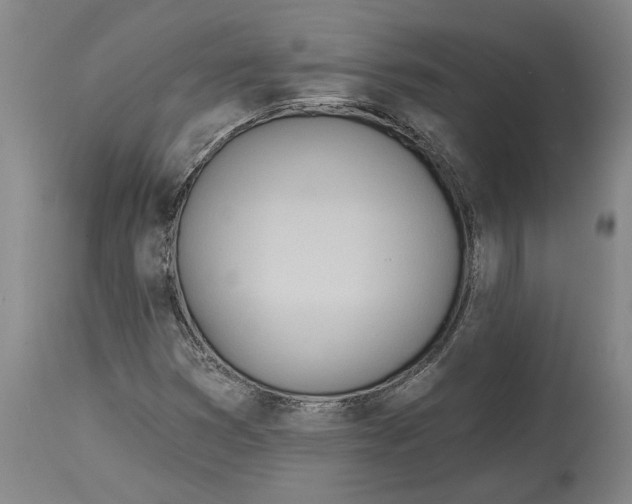 X0000114571353200911161237