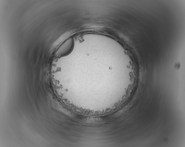 X0000114571354200911161237