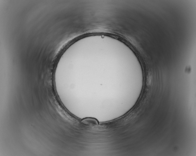 X0000114571356200911161237