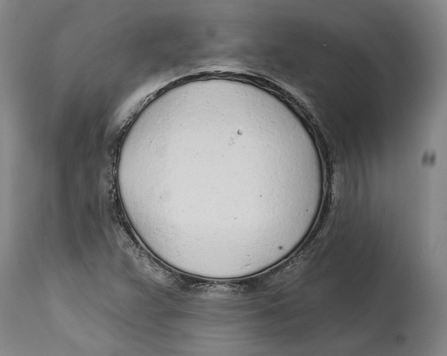 X0000114571359200911161237