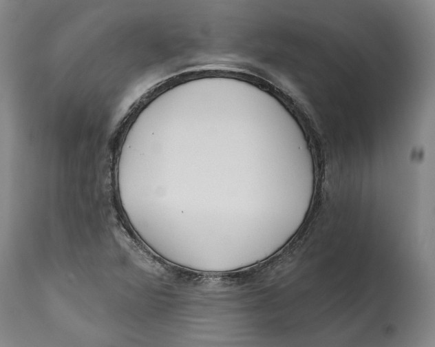 X0000114571360200911161237