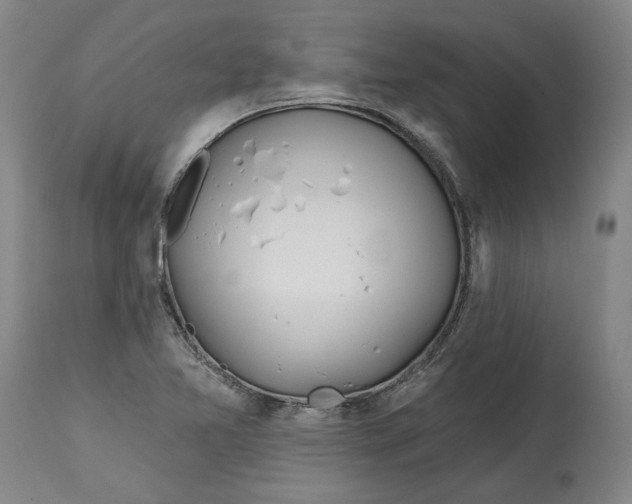 X0000114571365200911161237