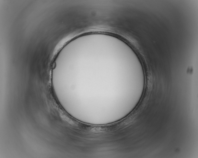 X0000114571366200911161237