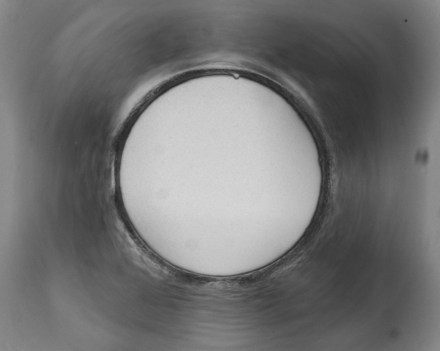 X0000114571368200911161237