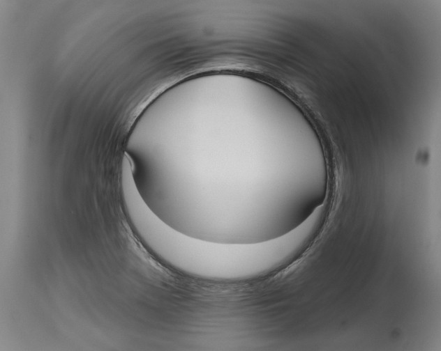 X0000114571369200911161237