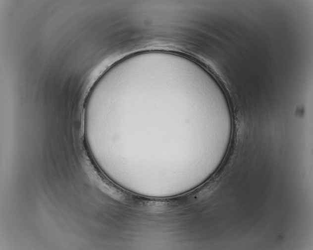 X0000114571371200911161237