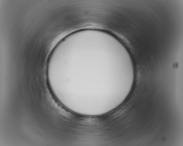 X0000114571375200911161237