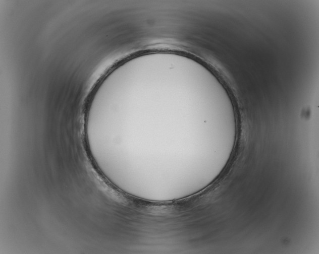 X0000114571376200911161237