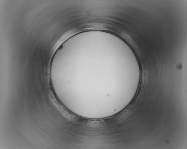 X0000114571378200911161236