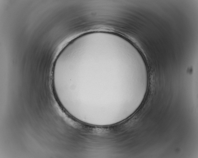 X0000114571379200911161236