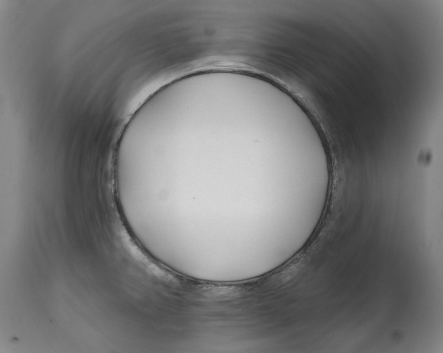 X0000114571382200911161236