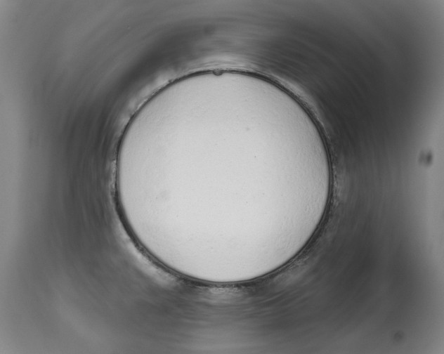 X0000114571383200911161236