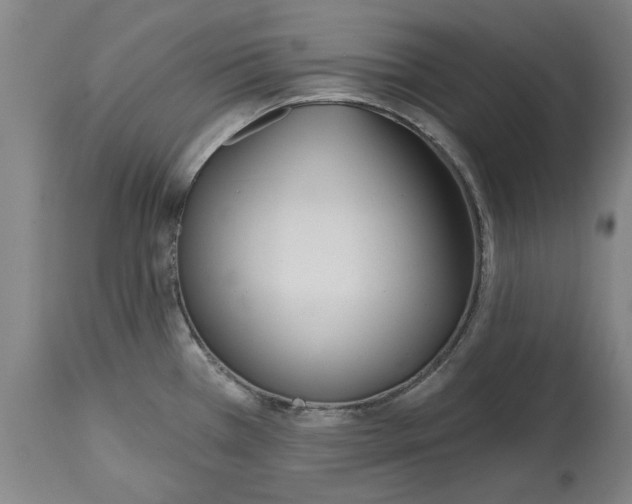 X0000114571385200911161236