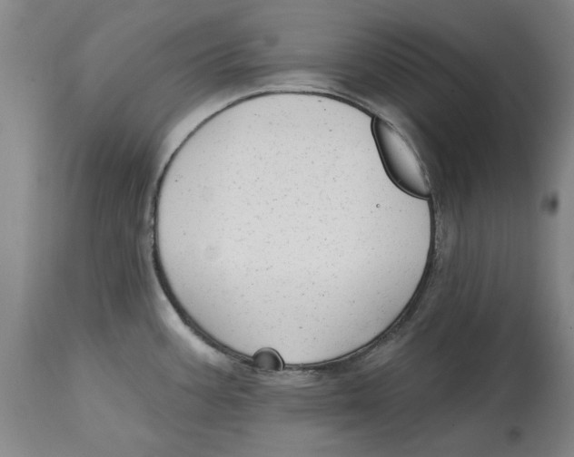 X0000114571387200911161236