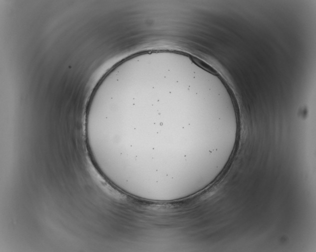 X0000114571388200911161236