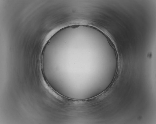 X0000114571389200911161236