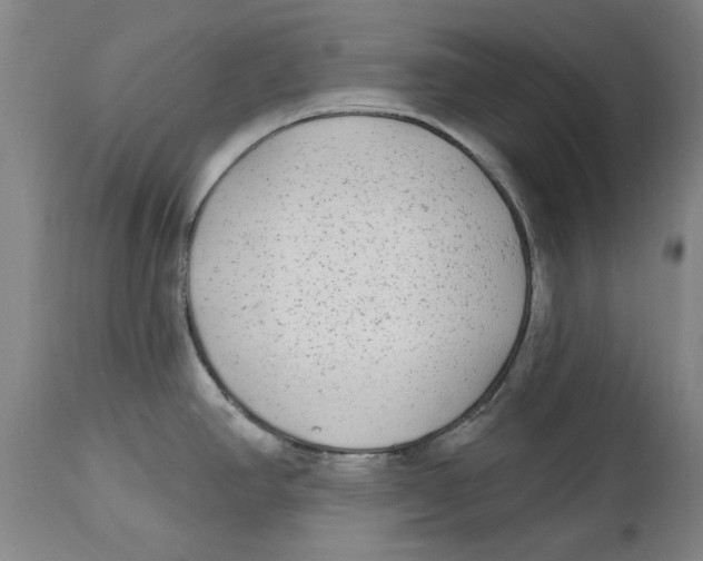 X0000114571390200911161236